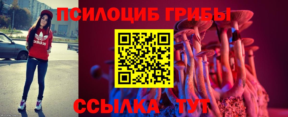 Галлюциногенные грибы мухоморы Вышний Волочёк